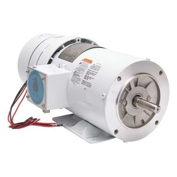 Washdown Brake Motor, 1 HP, 1725 RPM