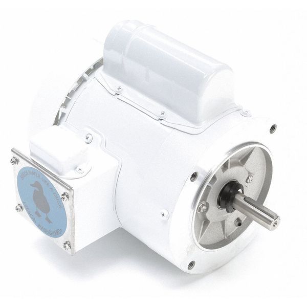 Washdown Motor, 1/3 HP, Face, 10-3/8 in. L