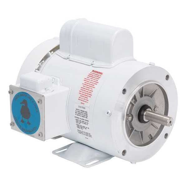 Washdown Motor, 1/3 HP, 10-3/8 in. L, CWSE