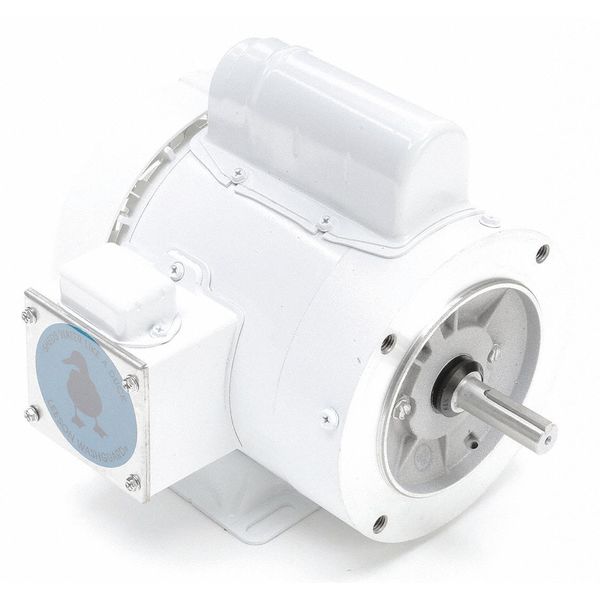 Washdown Motor, 1/2 HP, 10-3/8 in. L, CWSE