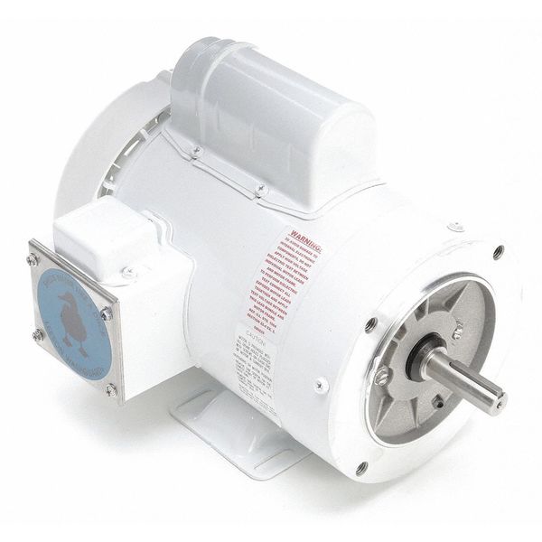 Washdown Motor, Face/Base, 12-3/8 in. L