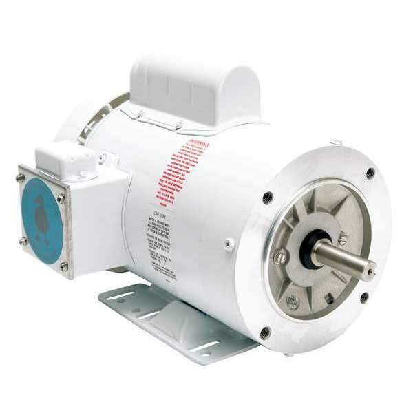 Washdown Motor, Face/Base, 13-3/8 in. L