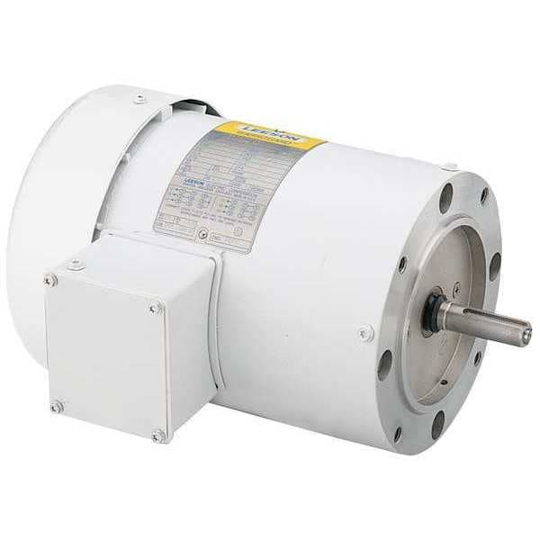 Washdown Motor, 3/4 HP, Face/Base, 3-Phase