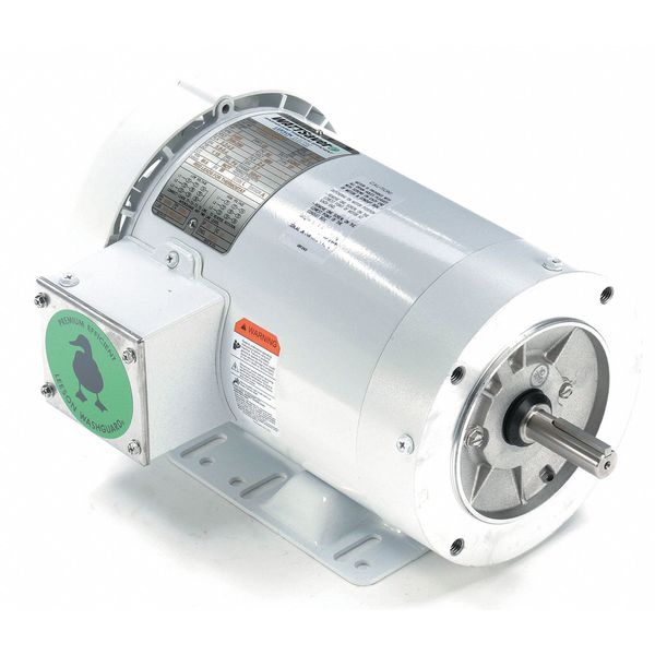 Washdown Motor, 2 HP, Face/Base, 56C Frame