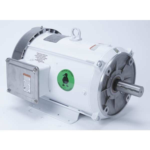 Washdown Motor, 10 HP, 215TC Frame, 60 Hz