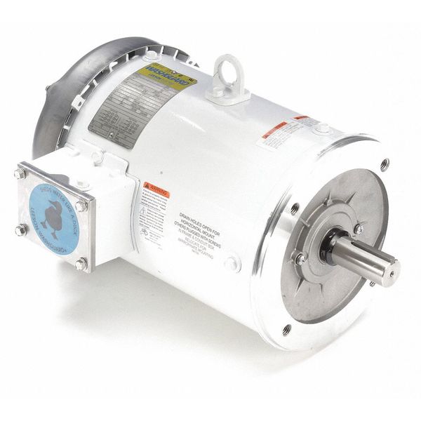 Washdown Motor, 5 HP, 184TC Frame, 60/50 Hz