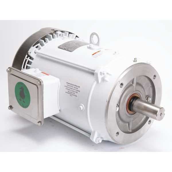 Washdown Motor, 10 HP, 215TC Frame, 60/50Hz