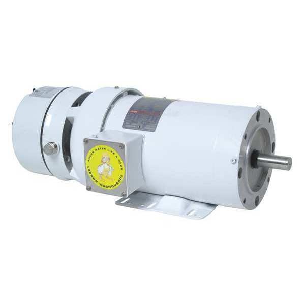 Washdown Brake Motor, 1 HP, 230/460V