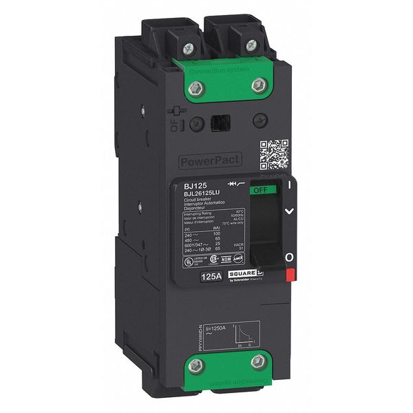 Molded Case Circuit Breaker, 50 A, 525V AC, 2 Pole, Unit Mount Mounting Style, BGL Series