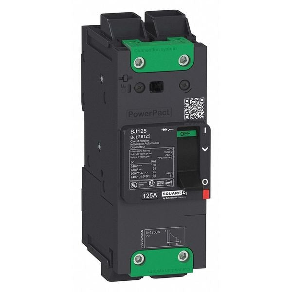 Molded Case Circuit Breaker, 100 A, 525V AC, 2 Pole, Unit Mount Mounting Style, BDL Series