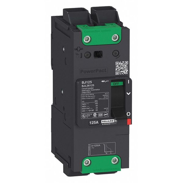 Molded Case Circuit Breaker, 60 A, 525V AC, 2 Pole, Unit Mount Mounting Style, BDL Series