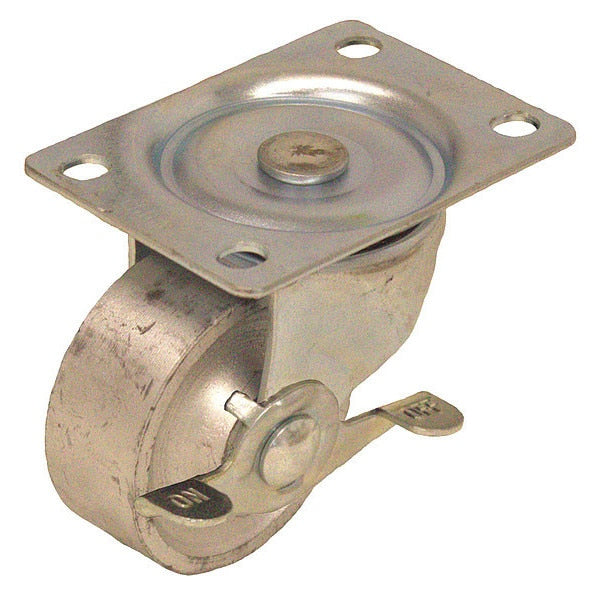 Plate Caster, Swivel, 2-1/2