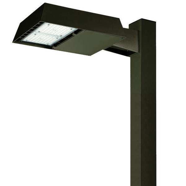 Area and Roadway Fixture, 12000 lm, LED