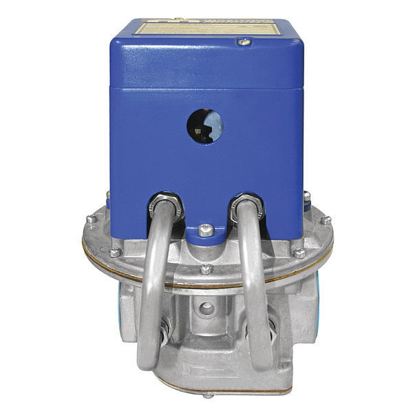 Gas Pressure Regulator, Natural Gas, -40 Degrees  to 205 Degrees F