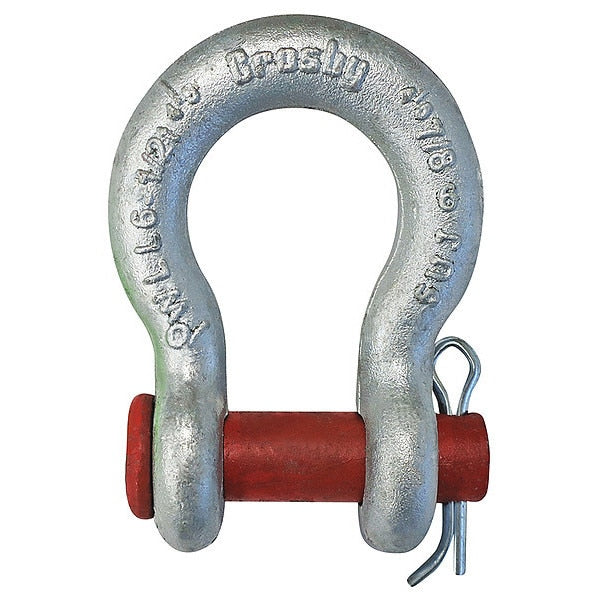 Anchor Shackle, 1/2