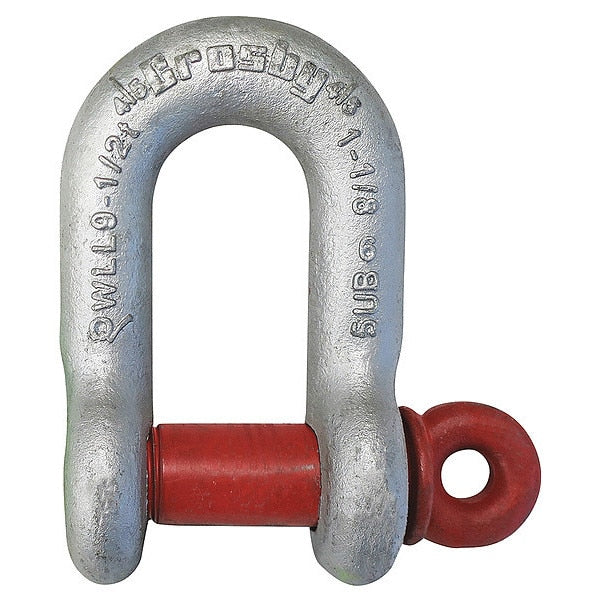 Shackle, 1-1/4