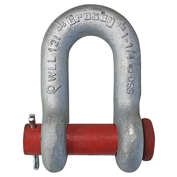 Shackle, 1-1/4