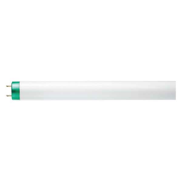 Linear Lamp, T8 Bulb Shape, 24