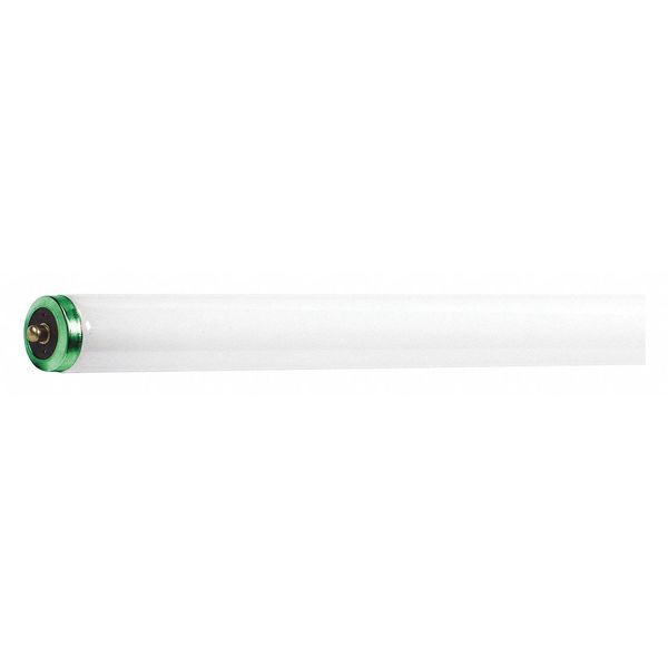 Linear Lamp, T12 Bulb Shape, 96