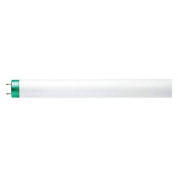 Linear Lamp, T8 Bulb Shape, 36