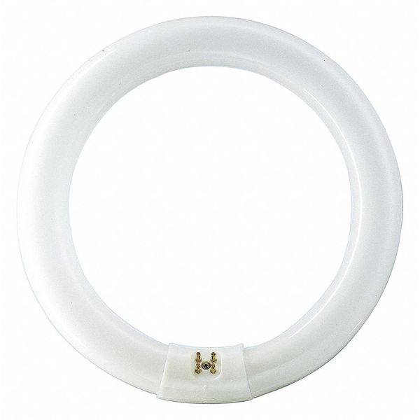 Circular Fluorescent Lamp, 8