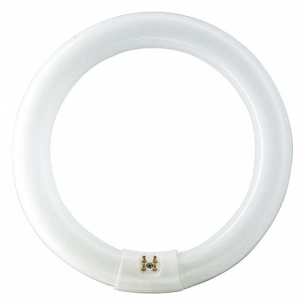 Circular Fluorescent Lamp, 12