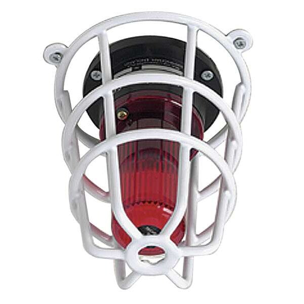 Audible and Strobe Guard, Steel Wire, Surf