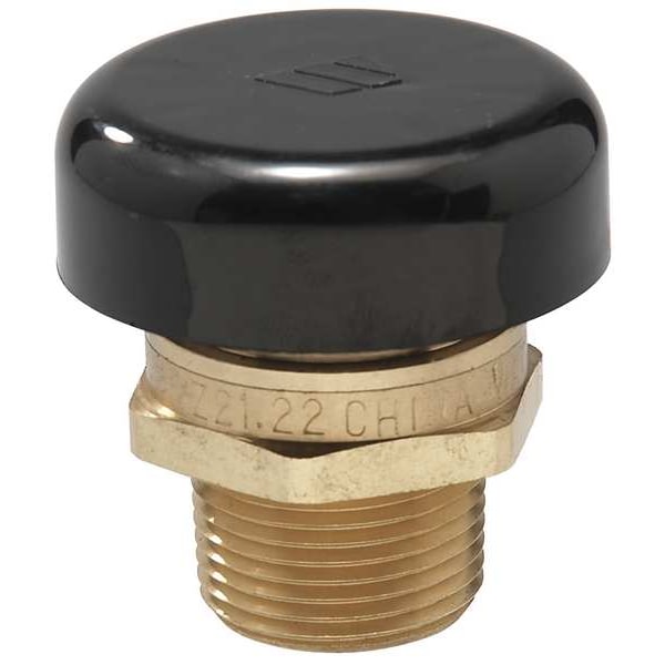 Vacuum Relief Valve, 1/2 In, Up to 200 psi