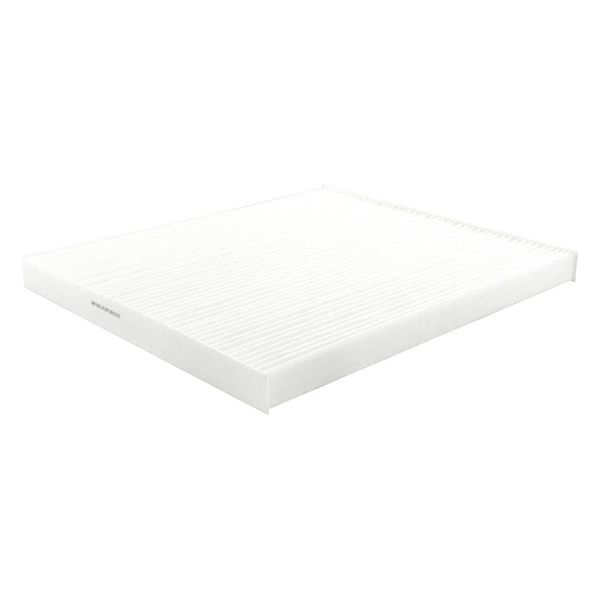Air Filter, 8-3/4 x 11/16 in.