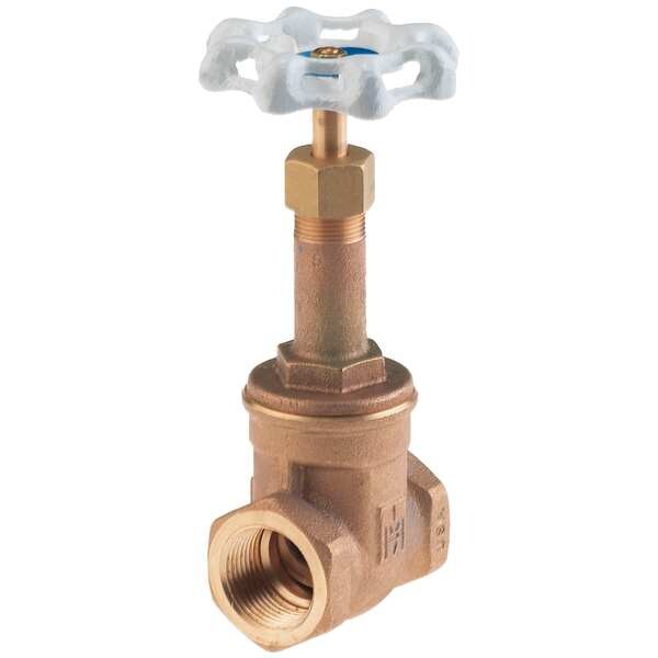 Gate Valve, Class 300, 2 In., Bronze