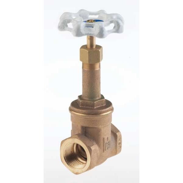 Gate Valve, Class 300, 2 In., Bronze