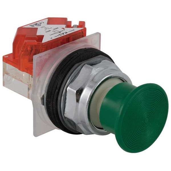 Non-Illuminated Push Button, 30 mm, 1NC, Green