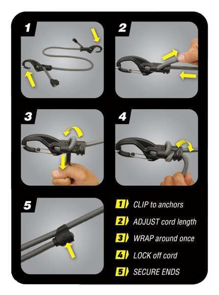 Bungee Cord, Carabiner, 10 In.L, 23/64 In.D