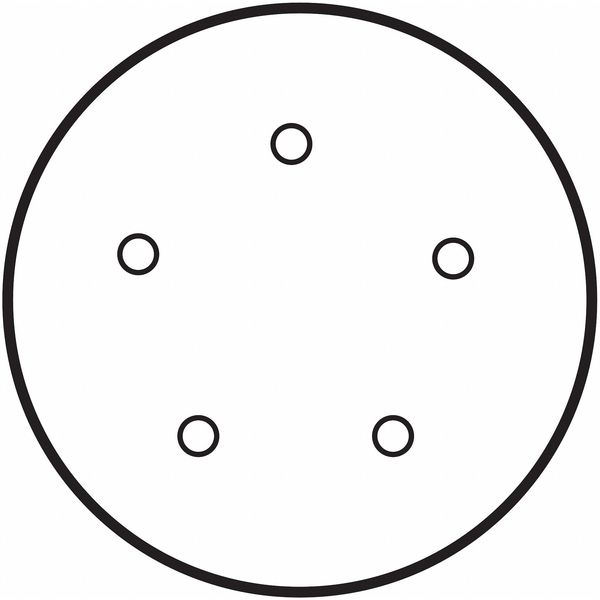 PSA Disc Roll, 5 Hole, 5in, P120G, AlO