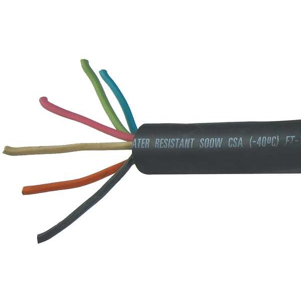 12 AWG 6 Conductor Portable Cord 600V 100 ft. BK