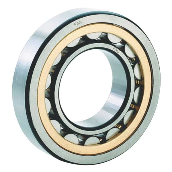 Cylindrical BRG, Bore 50 mm, Brass