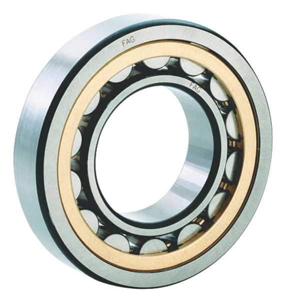Cylindrical BRG, Bore 25 mm, Brass
