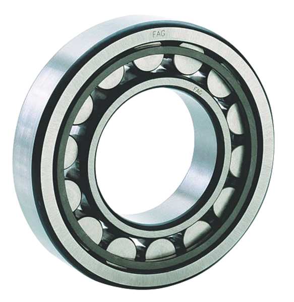 Cylindrical Roller BRG, Bore 40 mm