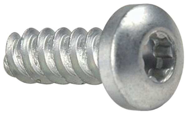 Thread Forming Screw, #6 x 1/4 in, Plain 18-8 Stainless Steel Pan Head Torx Drive, 50 PK
