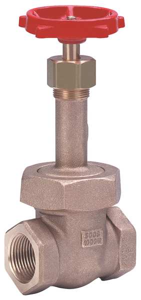 Gate Valve, Class 300, 1/4 In., FNPT