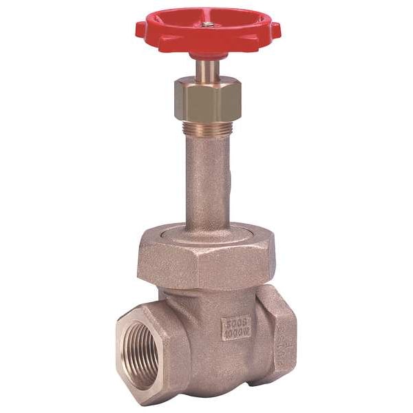 Gate Valve, Class 300, 2 In.