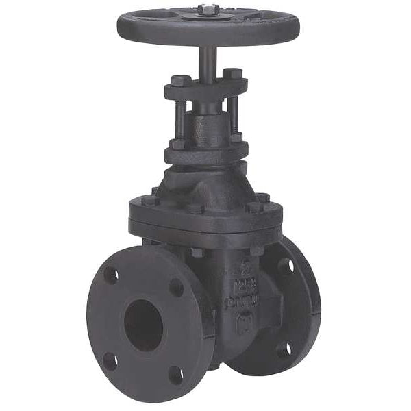 Gate Valve, Class 125, 2-1/2 In.