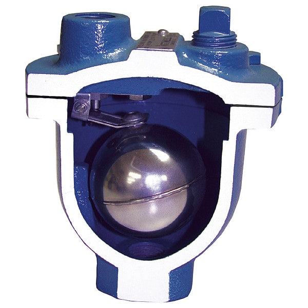 Air Release Valve, FNPT, 3/4 x 1/2, CI