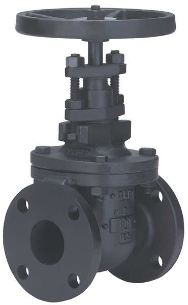 Gate Valve, Class 125, 3 In., Flange
