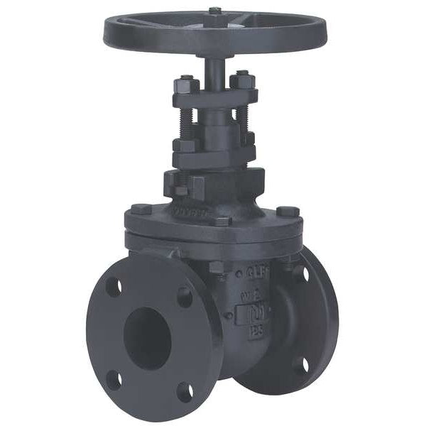 Gate Valve, Class 125, 2 In.