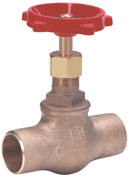 Globe Valve, Class 125, 1/2 In., Bronze