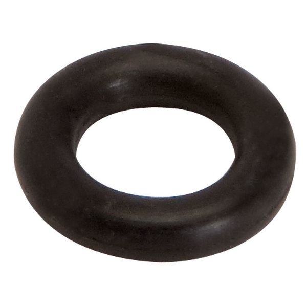 Needle Valve O-ring