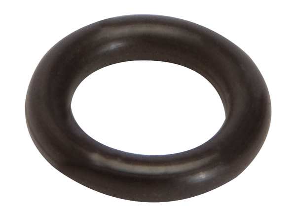 Valve O-ring