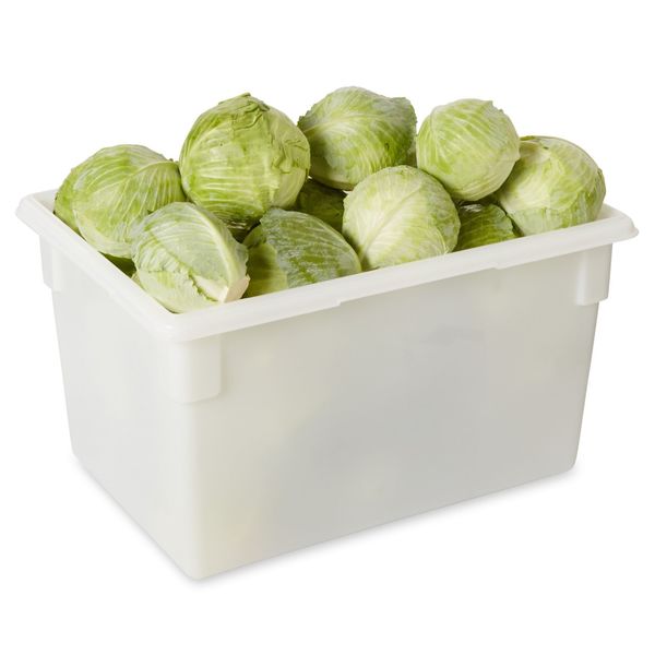 Box, Food/Tote