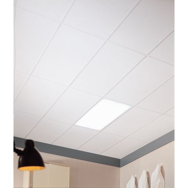 Clean Room Ceiling Tile, 24 in W x 48 in L, 8 PK